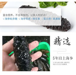 雪熊岛进口精品滋补海参130头组提货券 深海珍馐，送礼自用两相宜