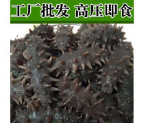 海参产品库 营养瑰宝的深度探索与选择指南